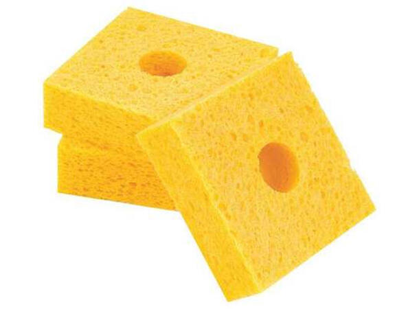 Svamp Ark Til Utklipp Plato 
